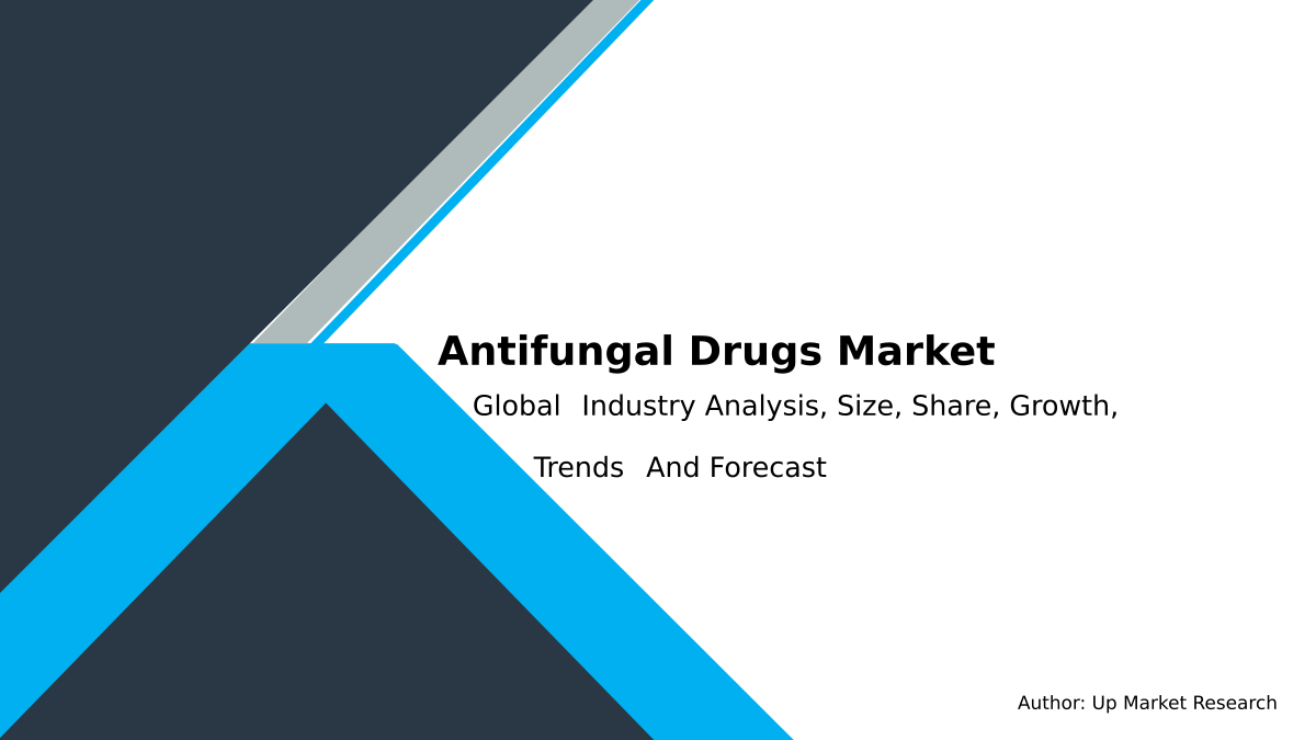 Antifungal Drugs Market Report Global Forecast To 2028 Up Market